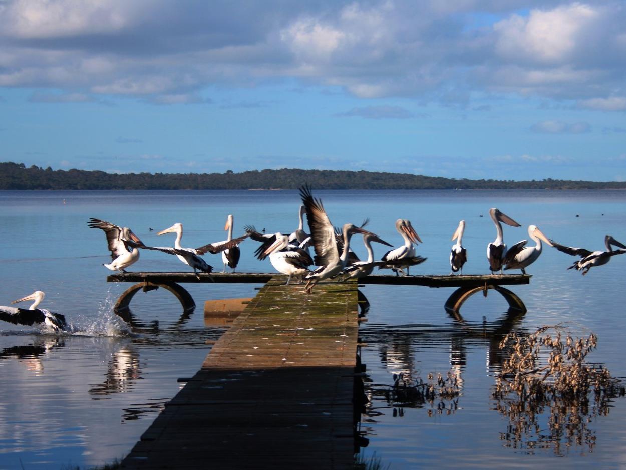 Denmark Waterfront Holiday Accommodation エクステリア 写真